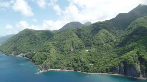 Gemma Handy An aerial photo of part of Dominica's mountainous coastline