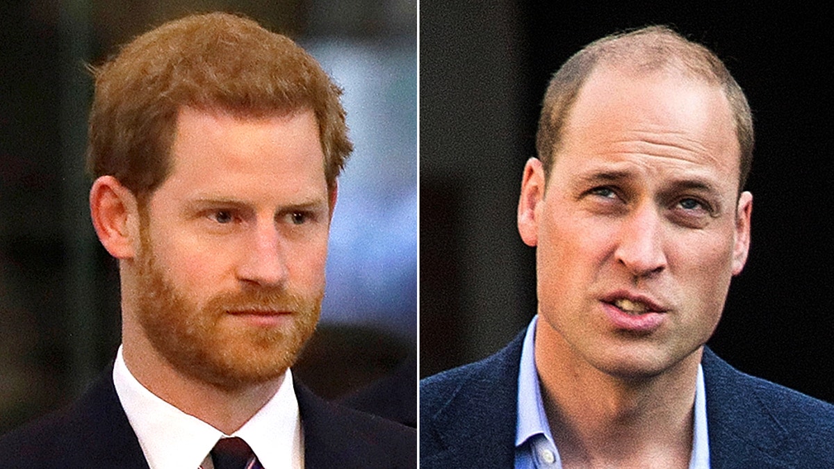 Prince Harry Prince William split