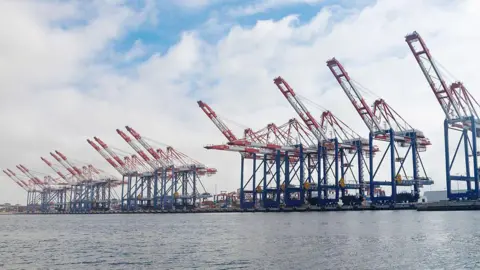 Bloomberg/Getty Idle gantry cranes at the Port of Long Beach in Long Beach, California, US, on Monday, May 12, 2025. 