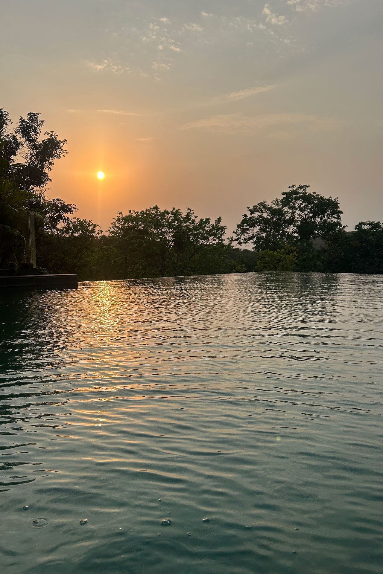 Image may contain Nature Outdoors Sky Plant Vegetation Scenery Sun Tree Lake Water Sunrise Summer and Landscape