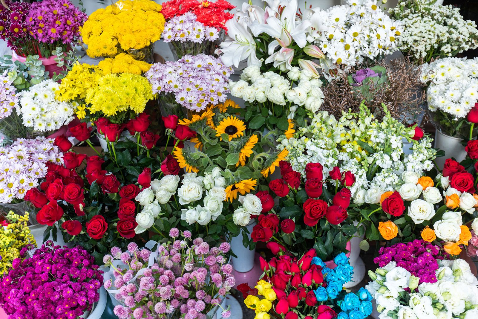 Image may contain Flower Flower Arrangement Flower Bouquet Plant Daisy and Petal