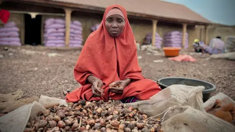 Gift Ufoma / BBC A woman in a red head scarf and shawl sits in front of a pile of shea nuts that she is sorting.