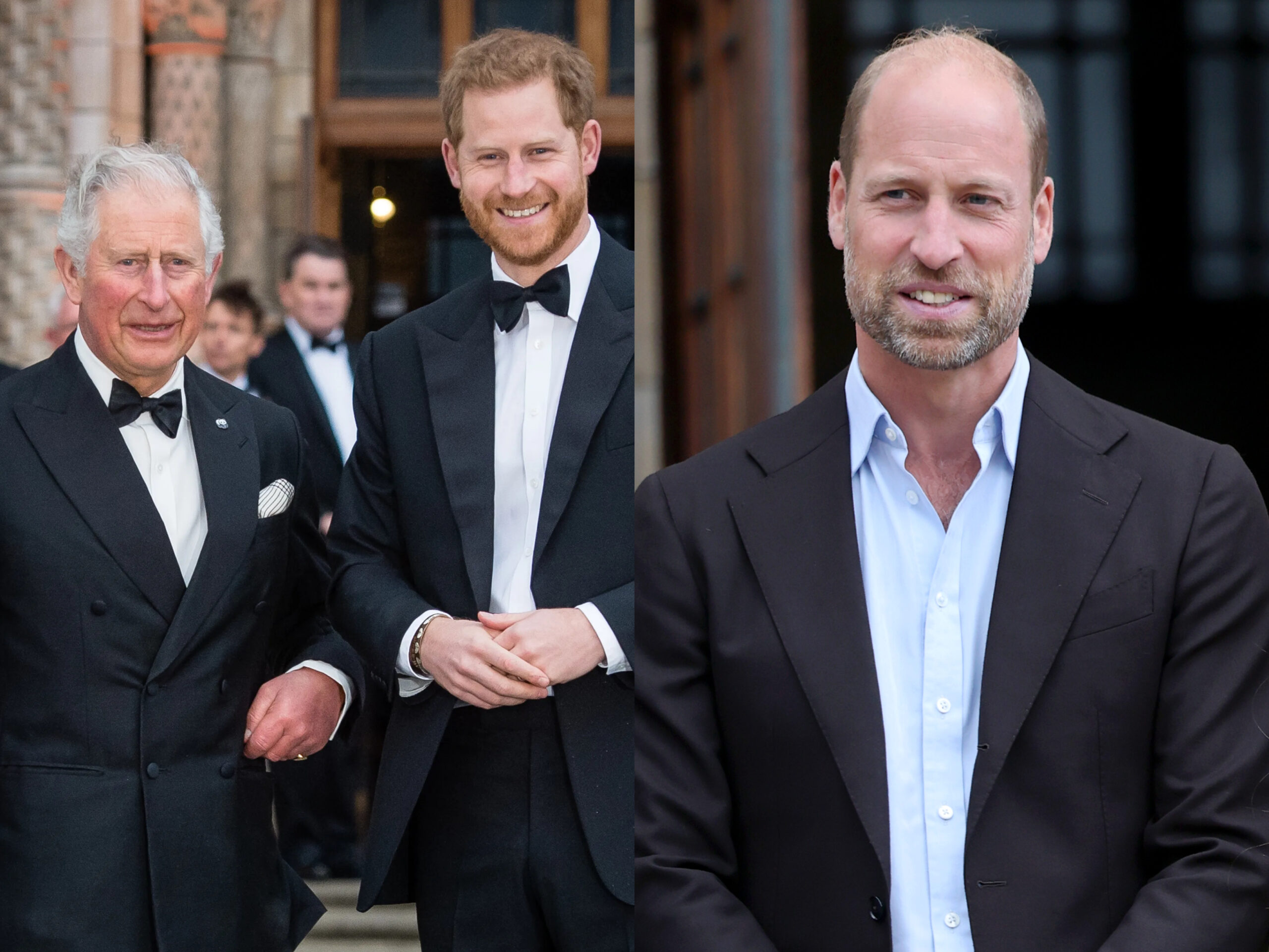 King Charles, Prince Harry, Prince William