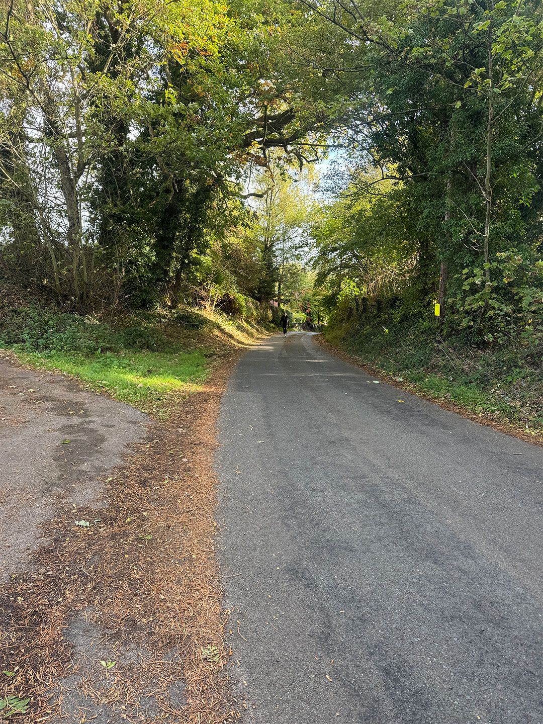 It was the perfect way to explore the surrounding area and really connect to nature.