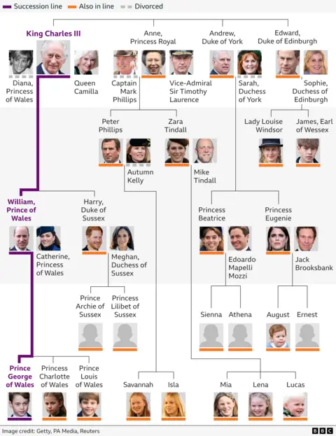 Graphic showing the line of succession from King Charles and his heirs, including their partners and children. King Charles's heir is his elder son William, the Prince of Wales. William's eldest child Prince George is second-in-line to the throne, and his daughter Princess Charlotte is third. Her younger brother Prince Louis is fourth and Prince Harry is fifth.