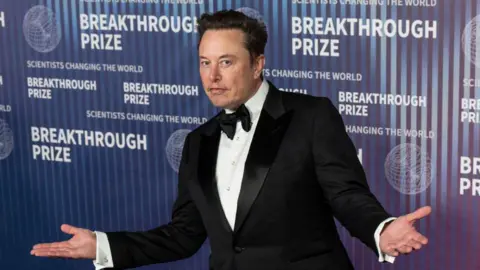 Getty Images Musk on a red carpet, gesturing with both his arms open wide.