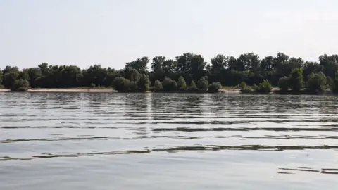 Alamy The waters of the Danube, and in the distance the shoreline of LIberland - sandy banks and green trees 