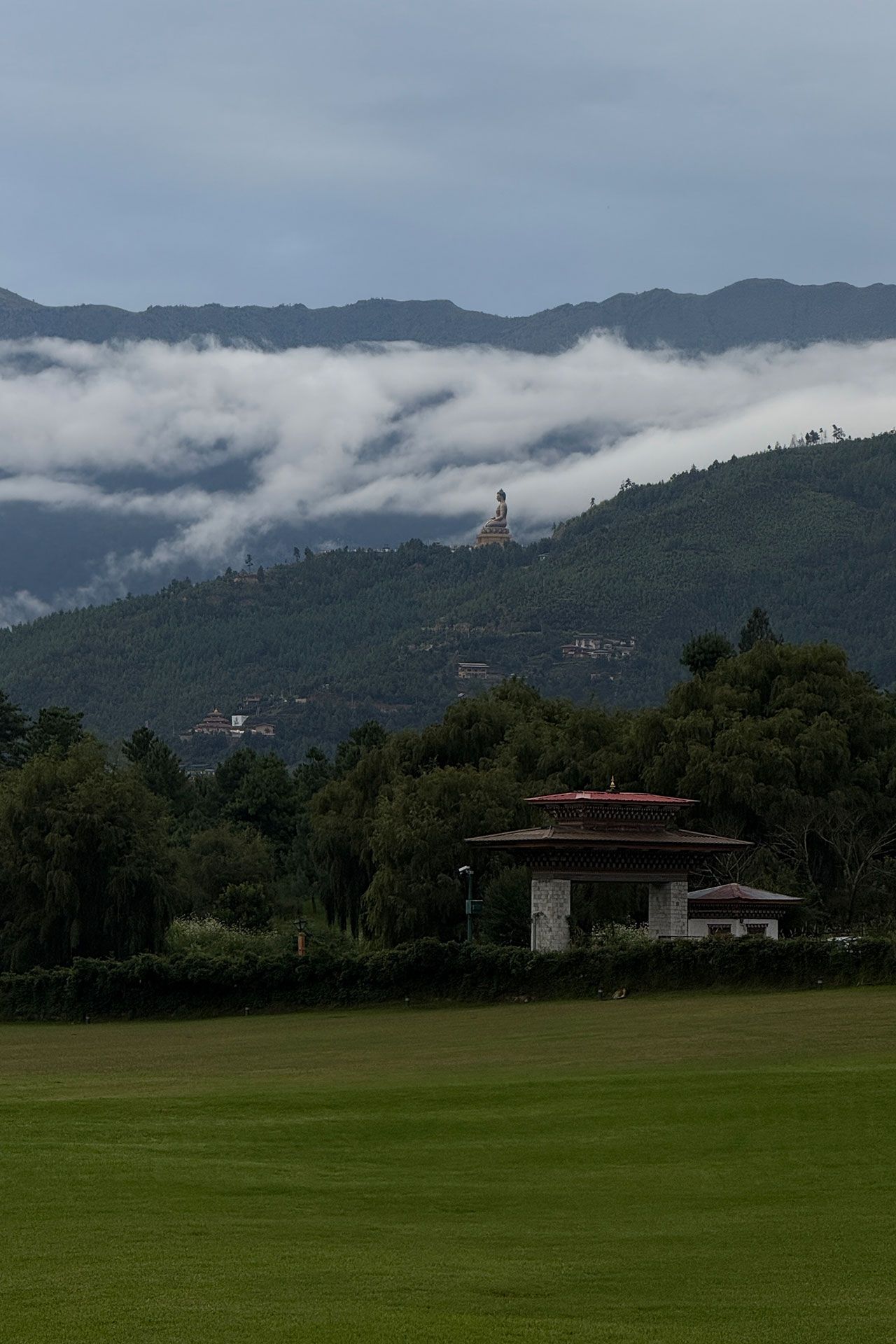 Image may contain Grass Plant Vegetation Land Nature Outdoors Tree Woodland Field Cloud Sky Scenery and Lawn