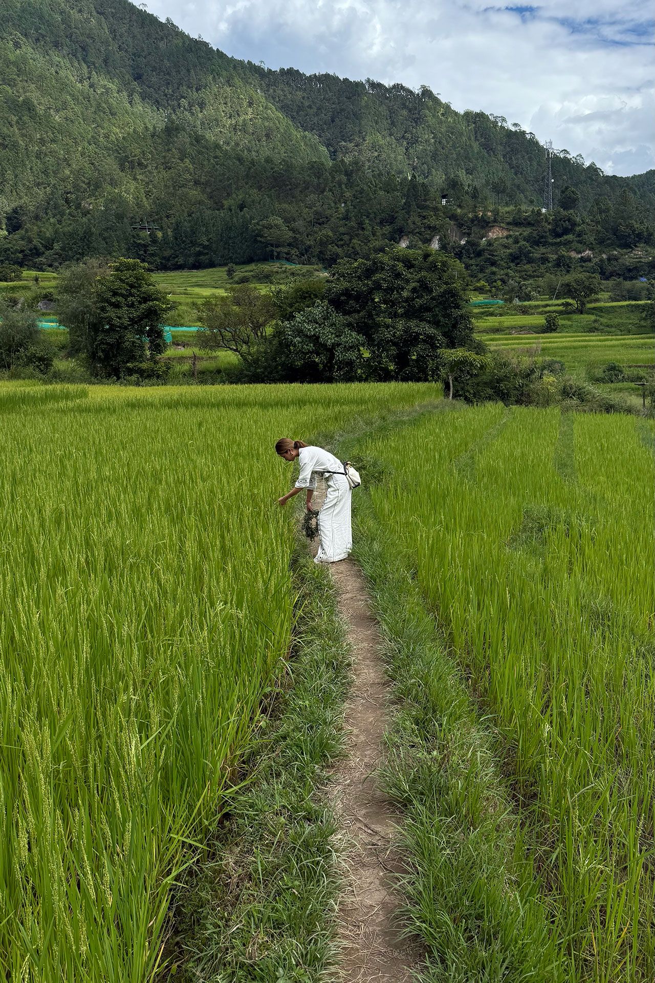 Image may contain Nature Outdoors Countryside Rural Adult Person Field Farm Accessories Bag and Handbag